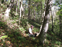 GRSM Accuracy Assessment. Plot Code: GRSM_AA_0207_2