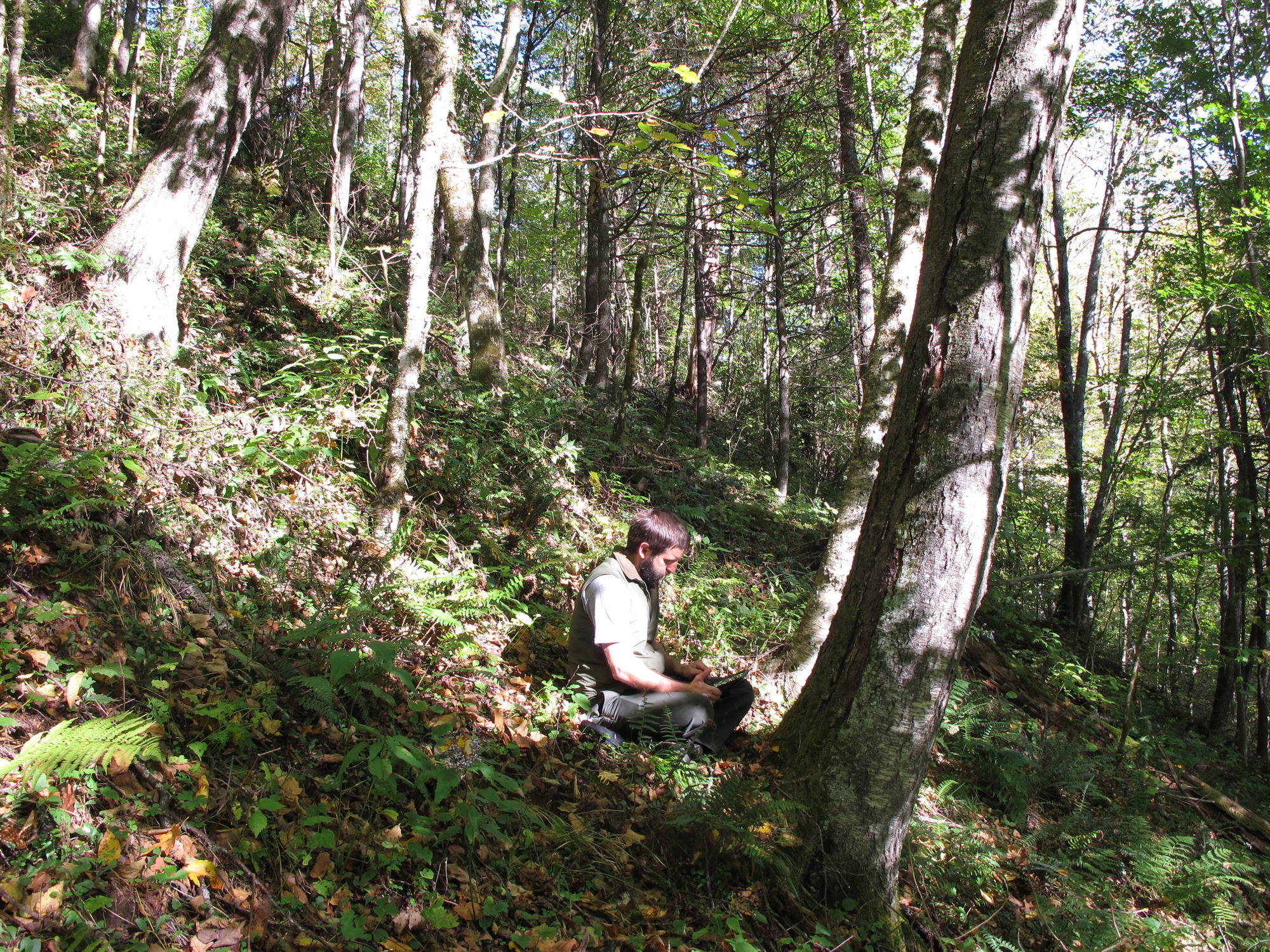 GRSM Accuracy Assessment. Plot Code: GRSM_AA_0207_2