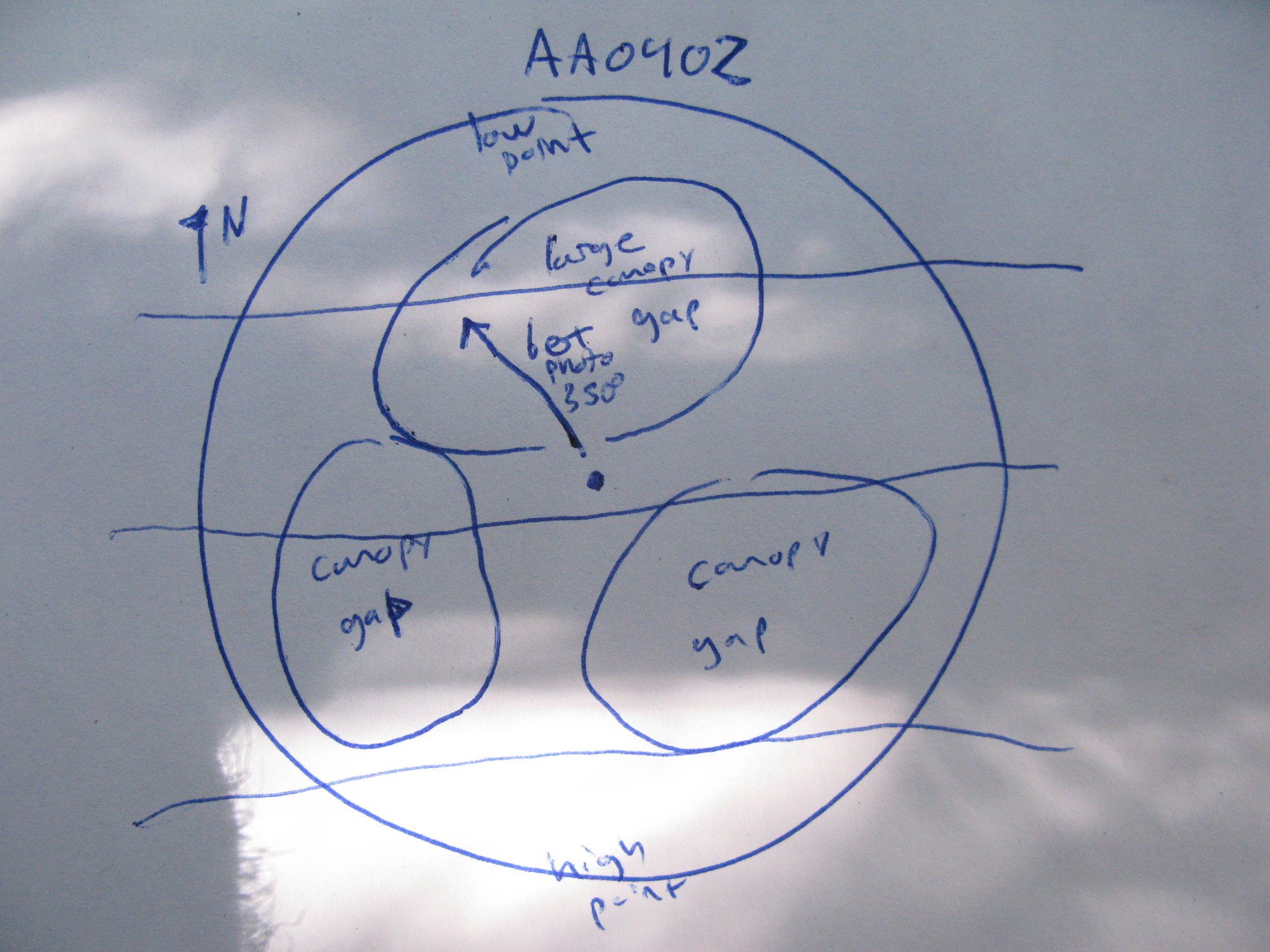 GRSM Accuracy Assessment. Plot Code: GRSM_AA_0402_7