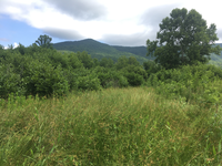 GRSM Accuracy Assessment. Plot Code: GRSM_AA_0670_2