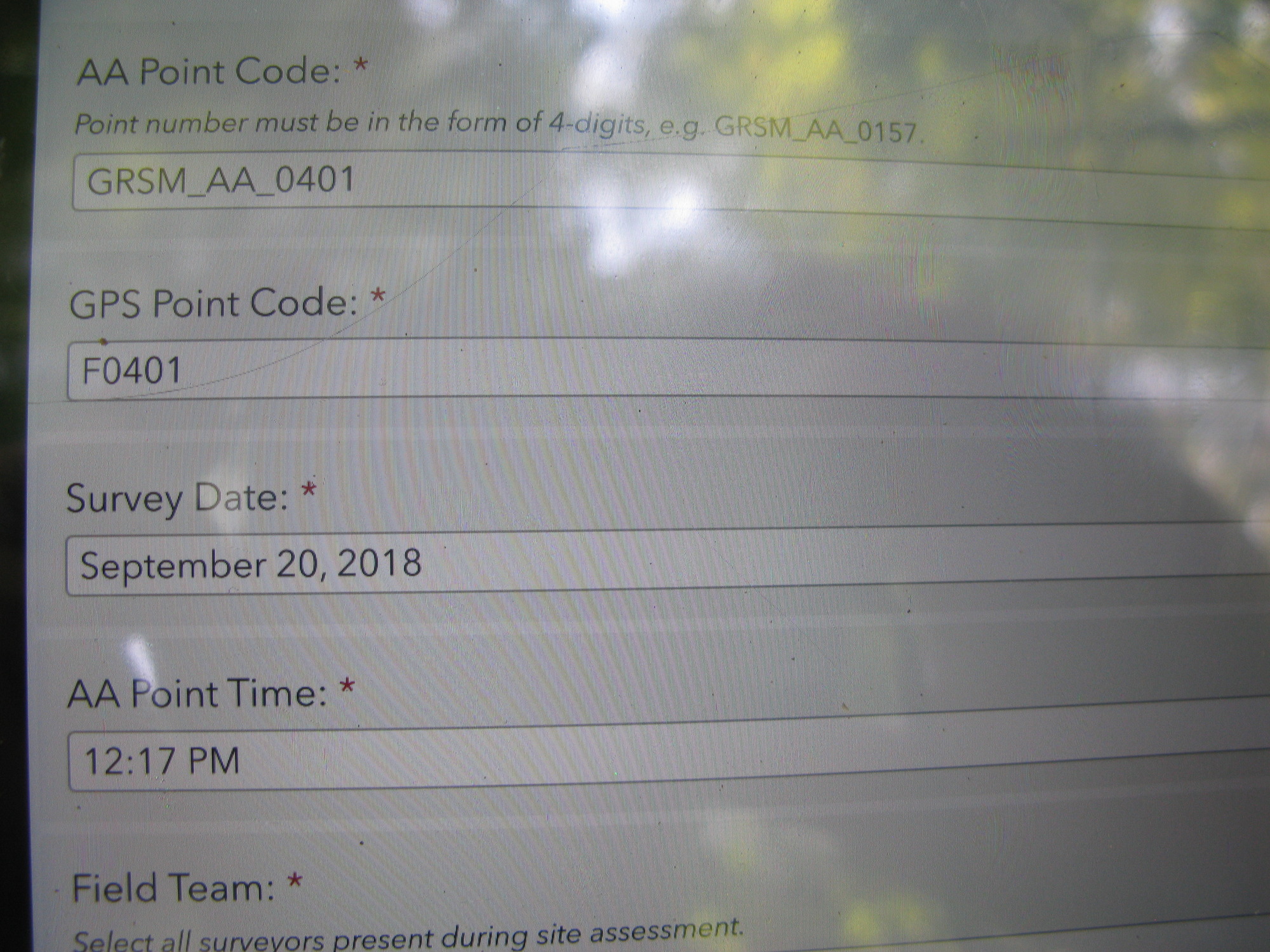 GRSM Accuracy Assessment. Plot Code: GRSM_AA_0401_1