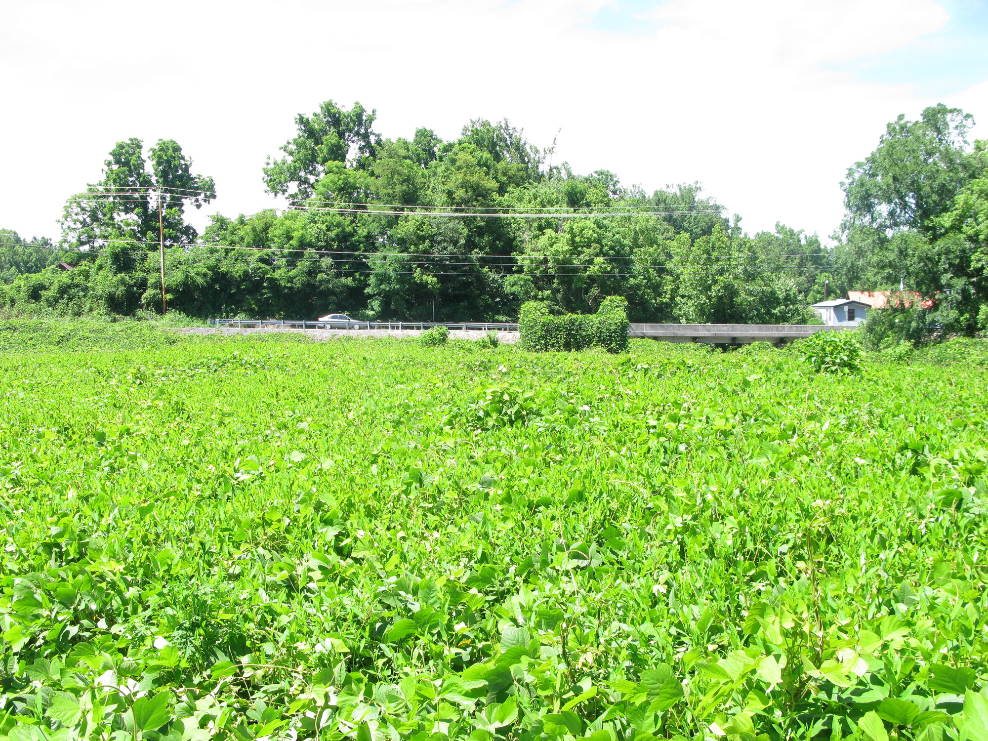 GRSM Accuracy Assessment. Plot Code: GRSM_AA_0918_2