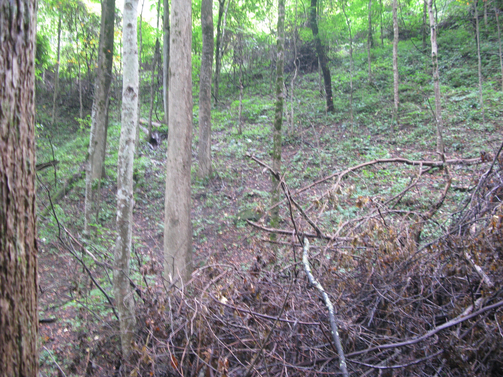 GRSM Accuracy Assessment. Plot Code: GRSM_AA_0679_3