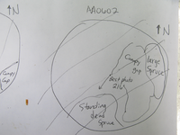 GRSM Accuracy Assessment. Plot Code: GRSM_AA_0602_7