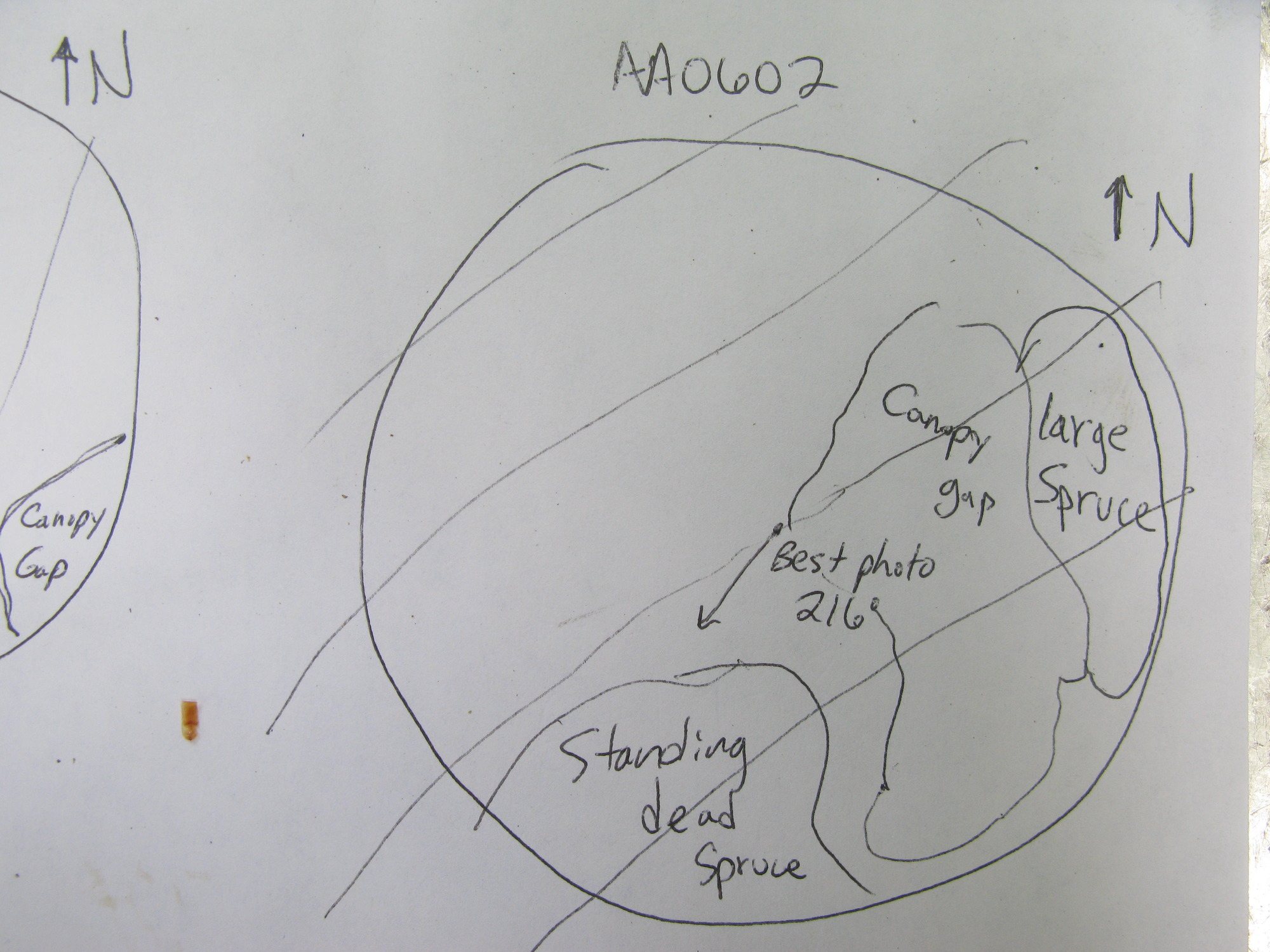 GRSM Accuracy Assessment. Plot Code: GRSM_AA_0602_7