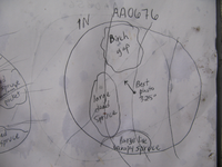 GRSM Accuracy Assessment. Plot Code: GRSM_AA_0676_7