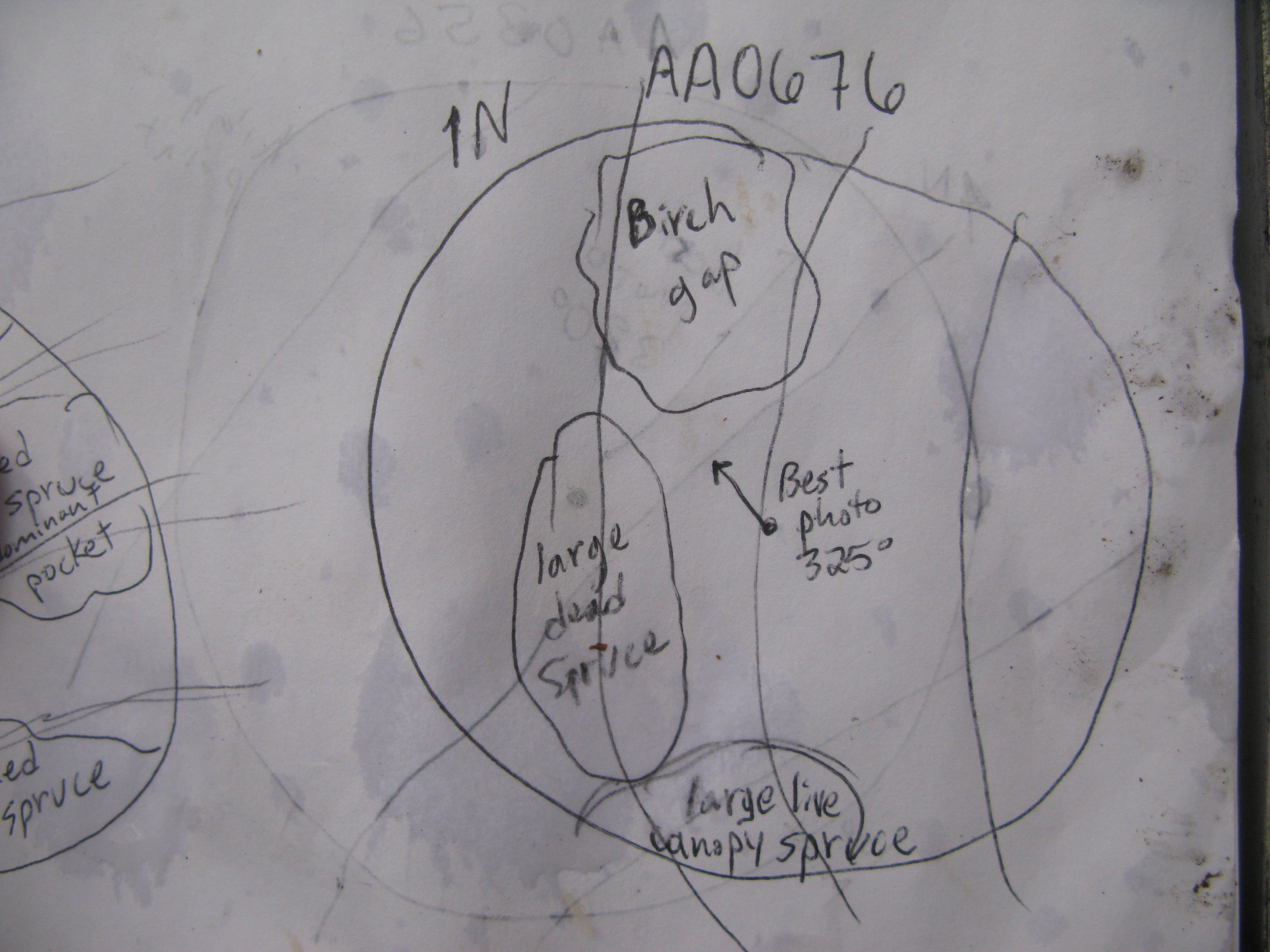 GRSM Accuracy Assessment. Plot Code: GRSM_AA_0676_7