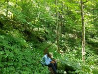 Plot Code: GRSM_AA_0544_5