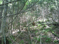 GRSM Accuracy Assessment. Plot Code: GRSM_AA_0493_2