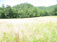 GRSM Accuracy Assessment. Plot Code: GRSM_AA_0741_5