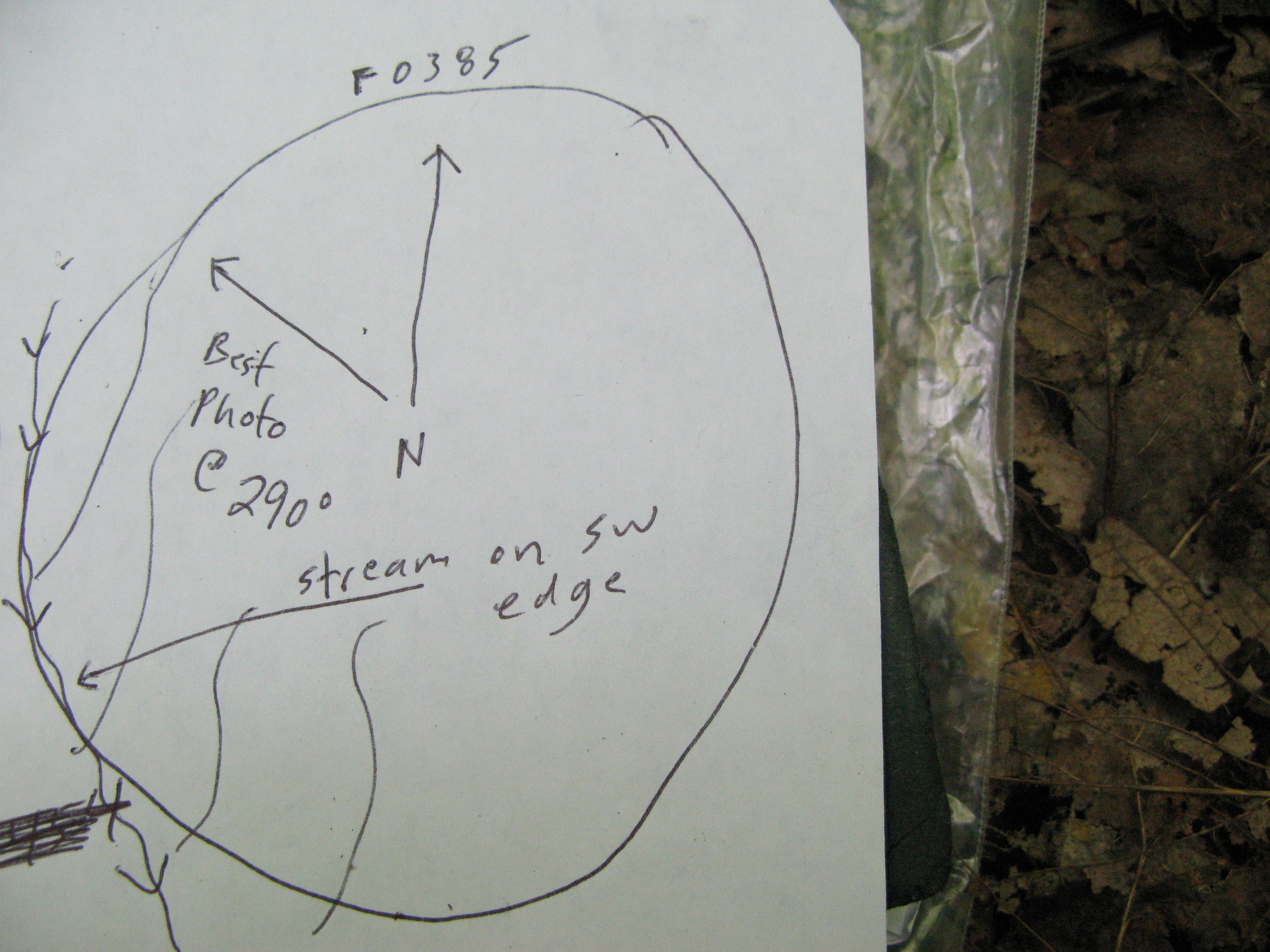 GRSM Accuracy Assessment. Plot Code: GRSM_AA_0385_7