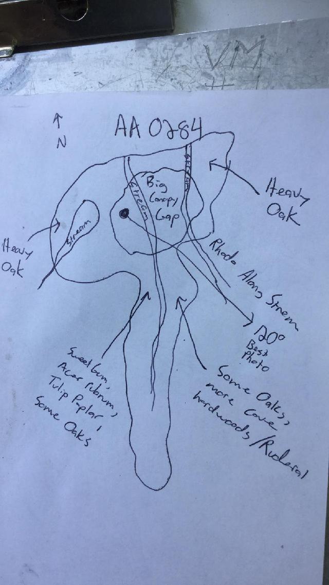 GRSM Accuracy Assessment. Plot Code: GRSM_AA_0284_map