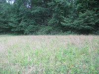 GRSM Accuracy Assessment. Plot Code: GRSM_AA_0730_3