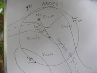GRSM Accuracy Assessment. Plot Code: GRSM_AA_0834_7