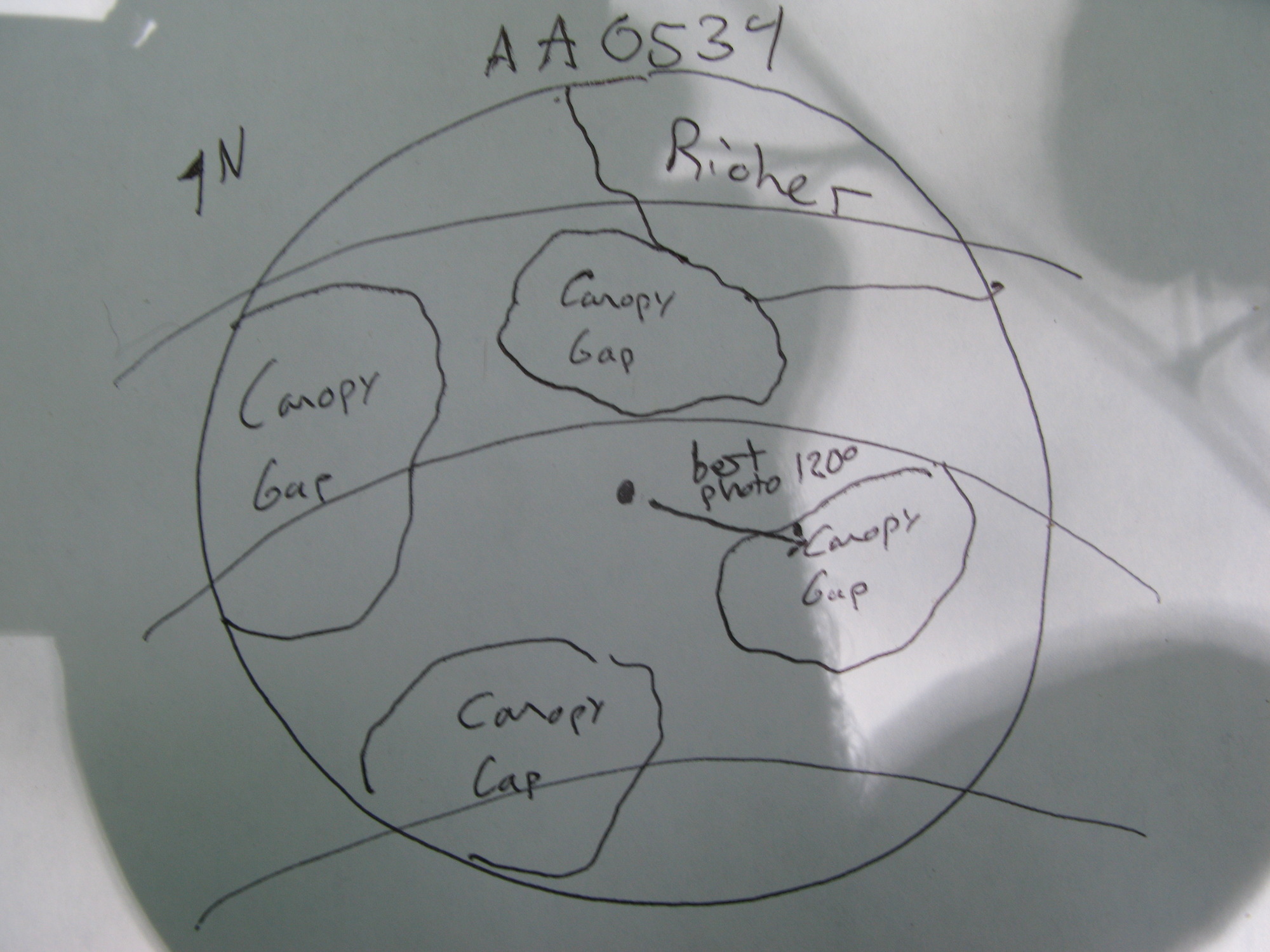 GRSM Accuracy Assessment. Plot Code: GRSM_AA_0534