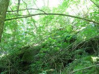 GRSM Accuracy Assessment. Plot Code: GRSM_AA_0204_6