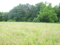 Plot Code: GRSM_AA_0470_3