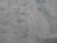 GRSM Accuracy Assessment. Plot Code: GRSM_AA_0538_7