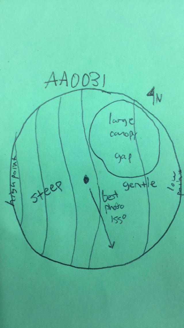 GRSM Accuracy Assessment. Plot Code: GRSM_AA_0031_map