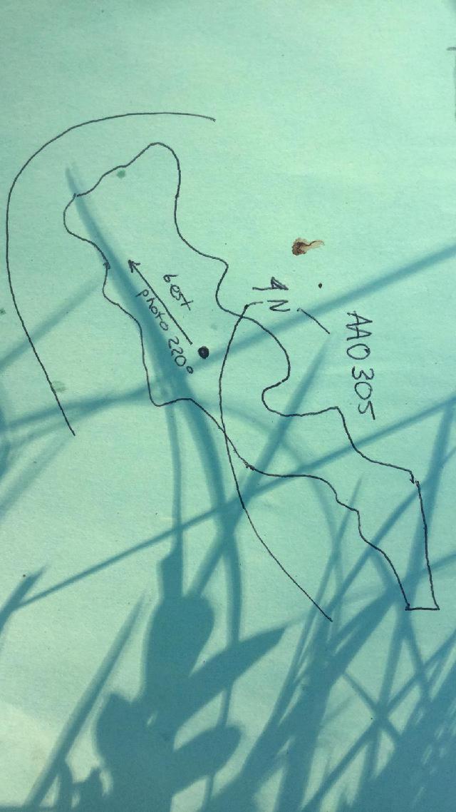 GRSM Accuracy Assessment. Plot Code: GRSM_AA_0305_map