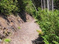 GRSM Accuracy Assessment. Plot Code: GRSM_AA_0116_3