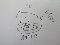 GRSM Accuracy Assessment. Plot Code: GRSM_AA_0848_7