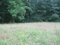 GRSM Accuracy Assessment. Plot Code: GRSM_AA_0730_4