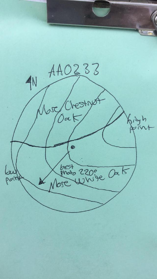 GRSM Accuracy Assessment. Plot Code: GRSM_AA_0233_map