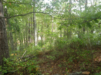 GRSM Accuracy Assessment. Plot Code: GRSM_AA_0332_2