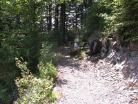 GRSM Accuracy Assessment. Plot Code: GRSM_AA_0116_5