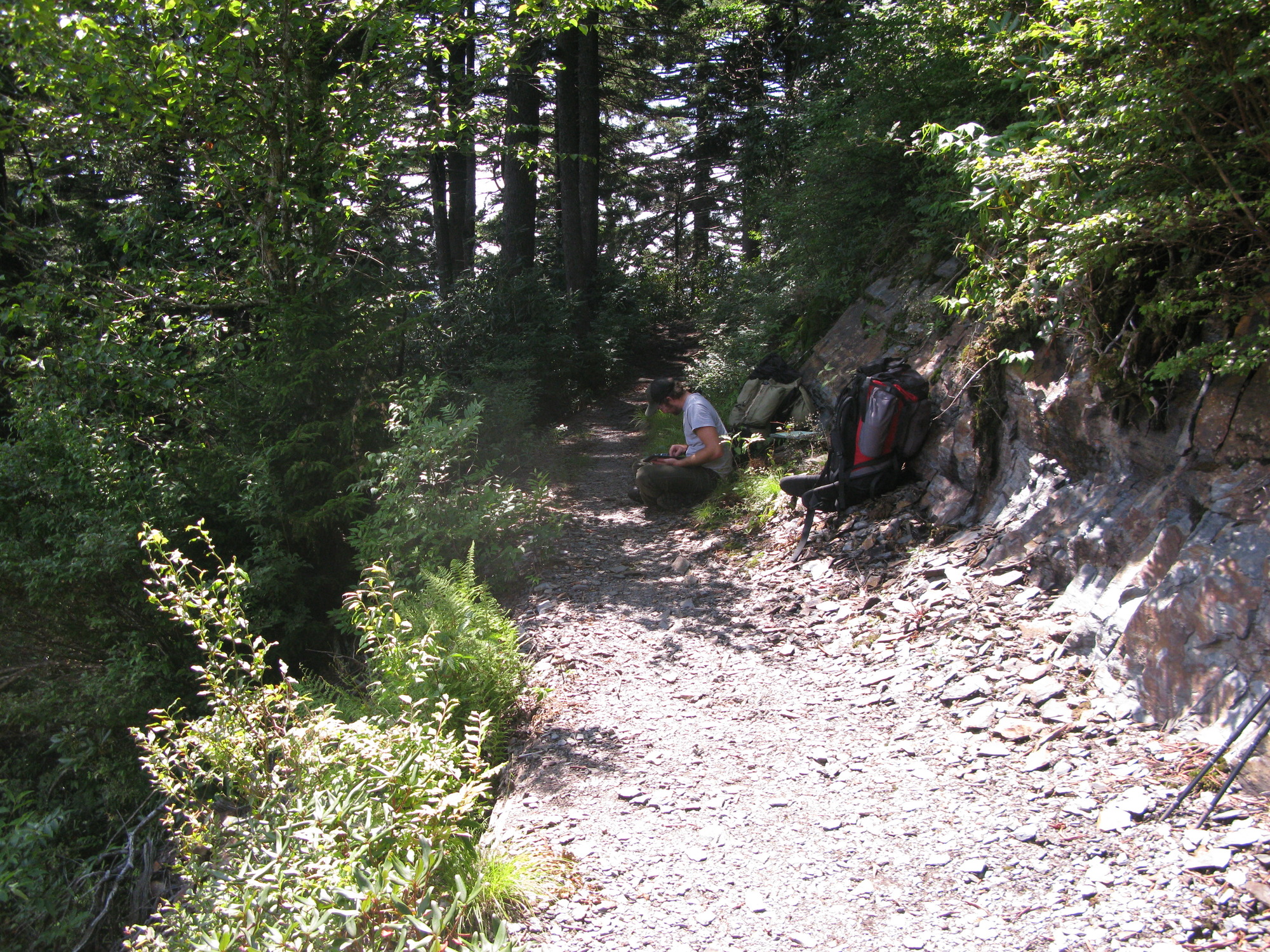 GRSM Accuracy Assessment. Plot Code: GRSM_AA_0116_5