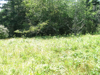 GRSM Accuracy Assessment. Plot Code: GRSM_AA_0307_5