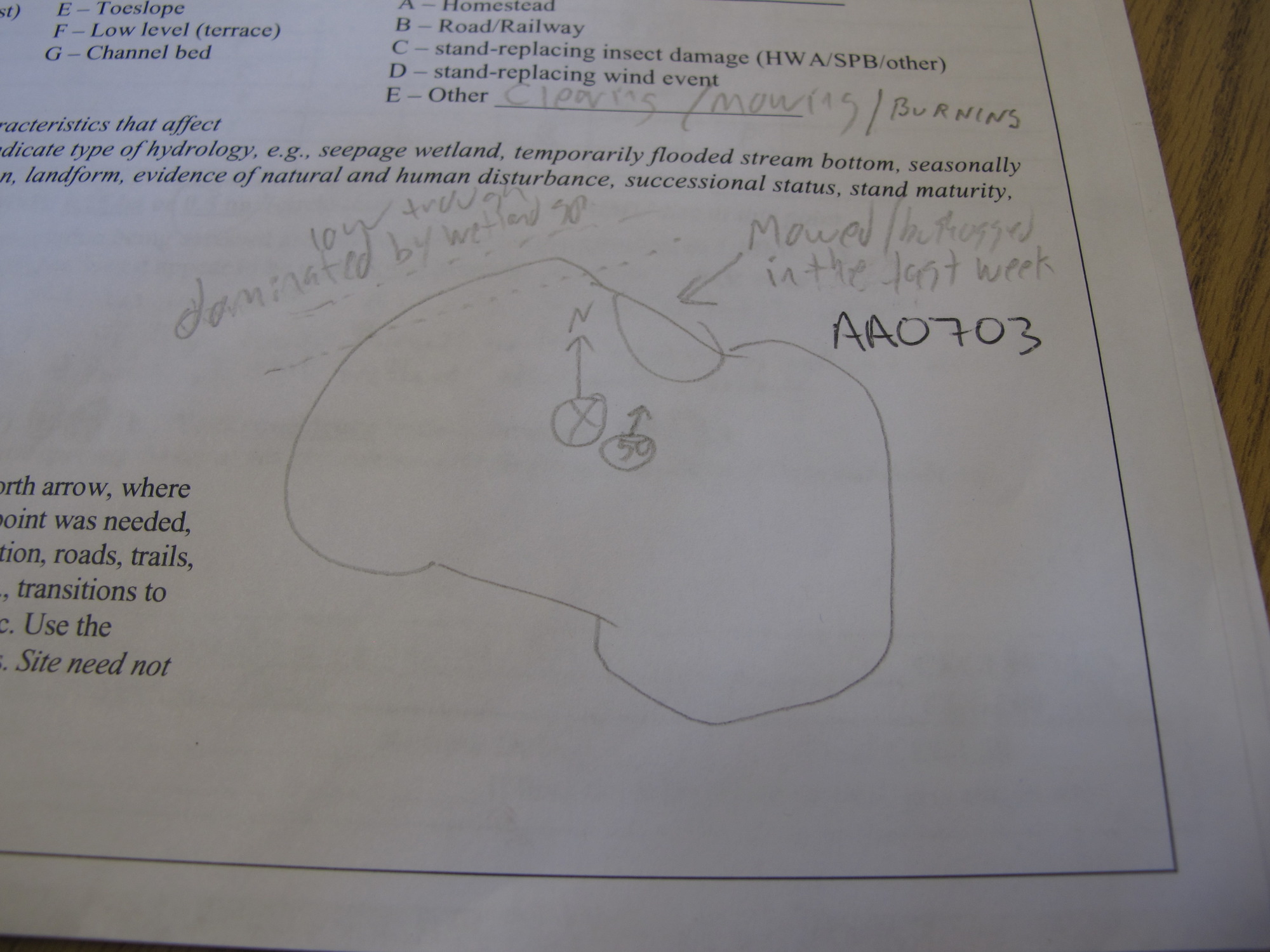GRSM Accuracy Assessment. Plot Code: GRSM_AA_0703_7