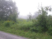 GRSM Accuracy Assessment. Plot Code: GRSM_AA_0104_2