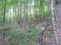 GRSM Accuracy Assessment. Plot Code: GRSM_AA_0707_2