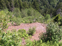 GRSM Accuracy Assessment. Plot Code: GRSM_AA_0116_6