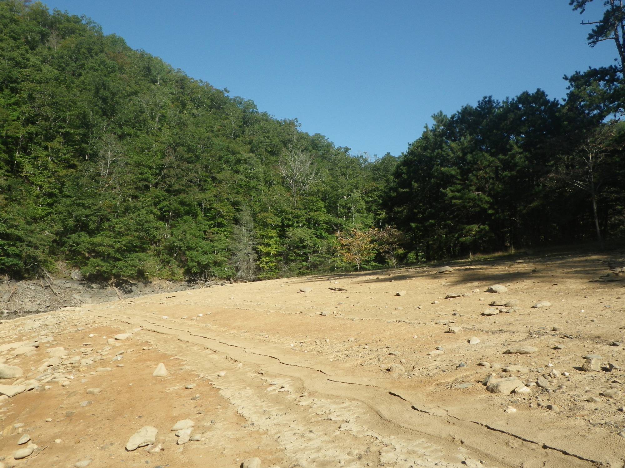 GRSM Accuracy Assessment. Plot Code: GRSM_AA_0028_6