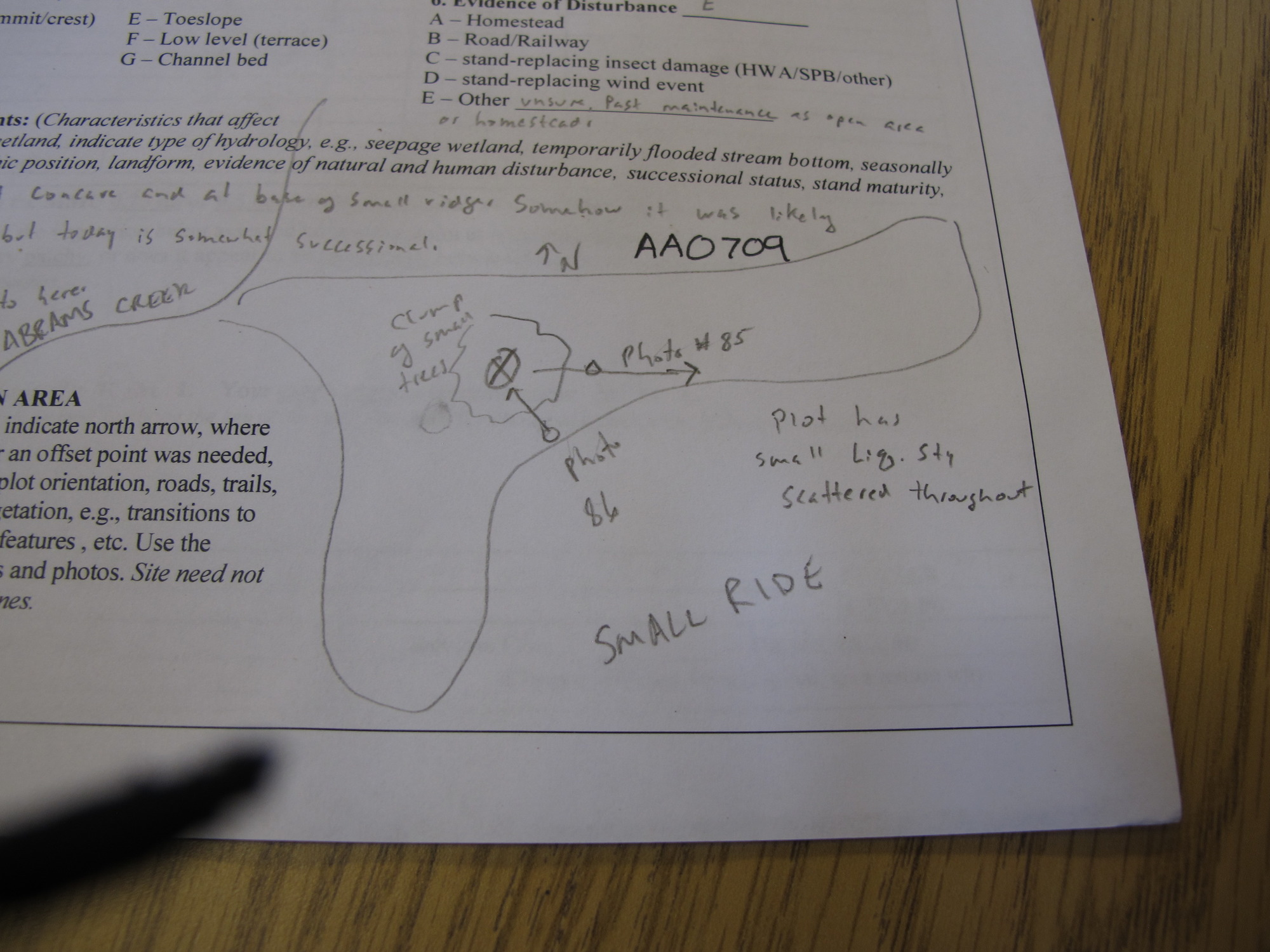 GRSM Accuracy Assessment. Plot Code: GRSM_AA_0709_7