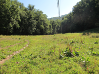 GRSM Accuracy Assessment. Plot Code: GRSM_AA_0807_3