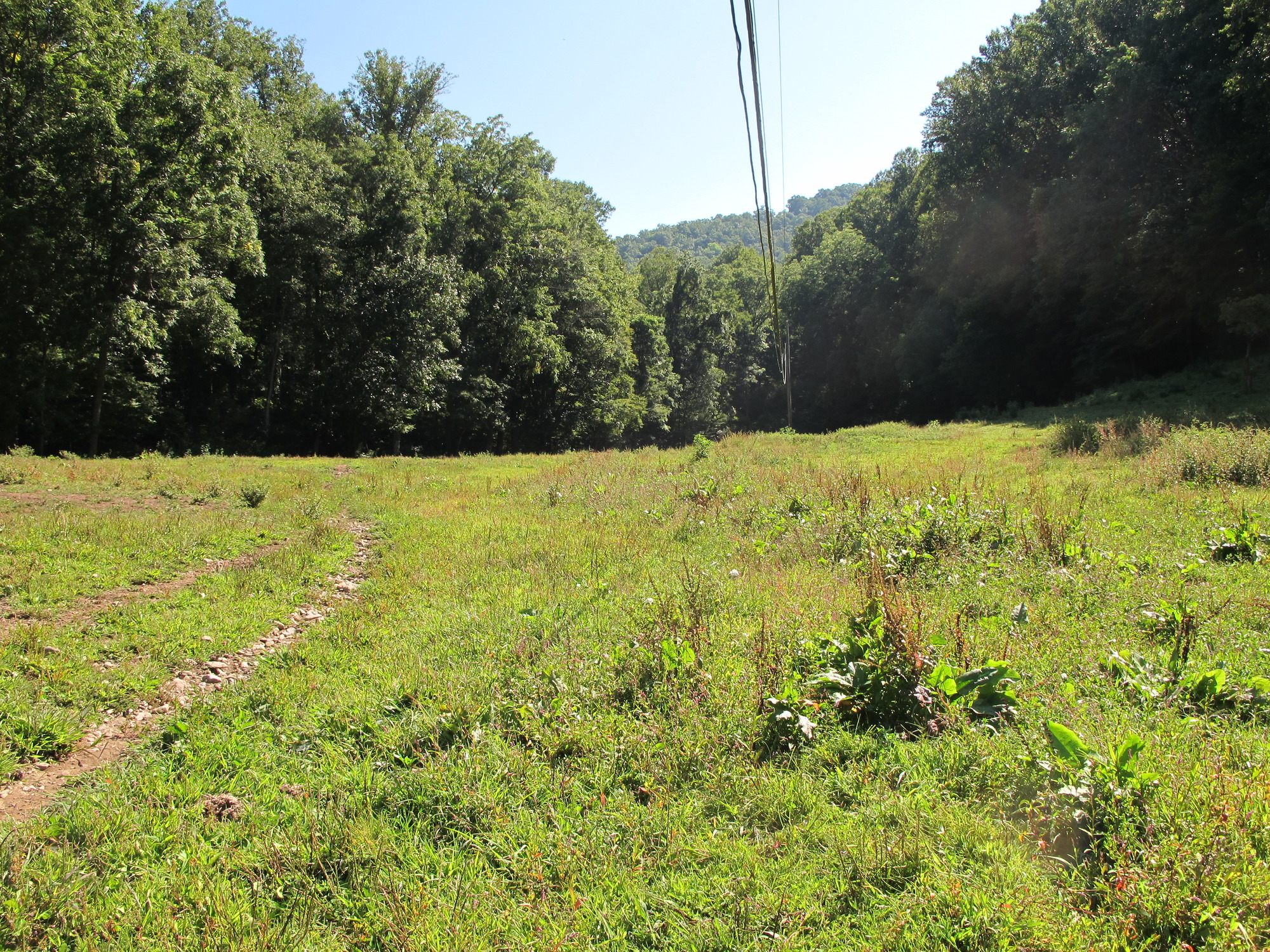 GRSM Accuracy Assessment. Plot Code: GRSM_AA_0807_3