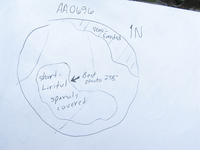 GRSM Accuracy Assessment. Plot Code: GRSM_AA_0696_7