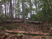 GRSM Accuracy Assessment. Plot Code: GRSM_AA_0433_5