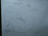 Plot Code: GRSM_AA_0658_7