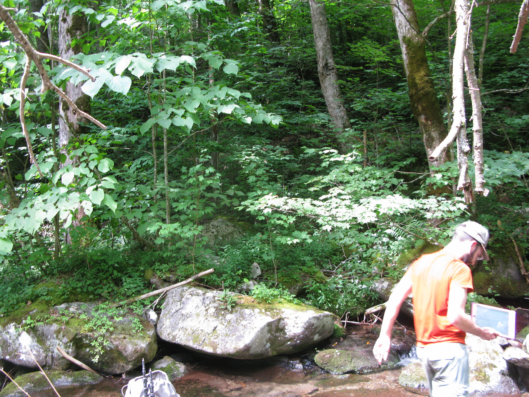 GRSM Accuracy Assessment. Plot Code: GRSM_AA_0850_2