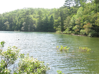 GRSM Accuracy Assessment. Plot Code: GRSM_AA_0006_5