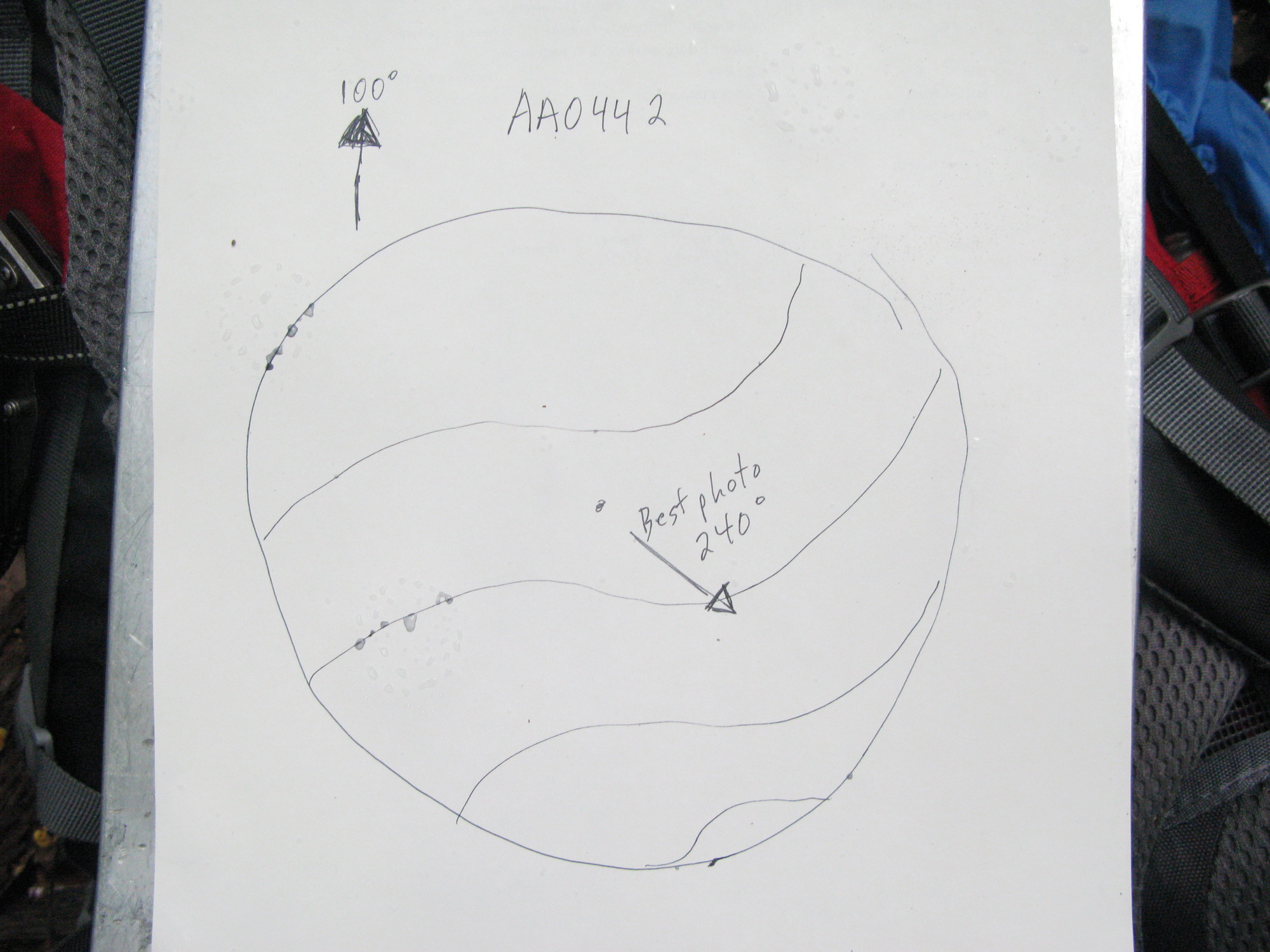 GRSM Accuracy Assessment. Plot Code: GRSM_AA_0442