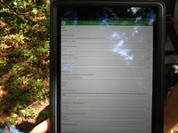 GRSM Accuracy Assessment. Plot Code: GRSM_AA_0091_1