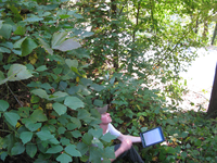 GRSM Accuracy Assessment. Plot Code: GRSM_AA_0060_4