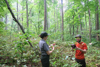 GRSM Accuracy Assessment. Plot Code: GRSM_AA_0757_5