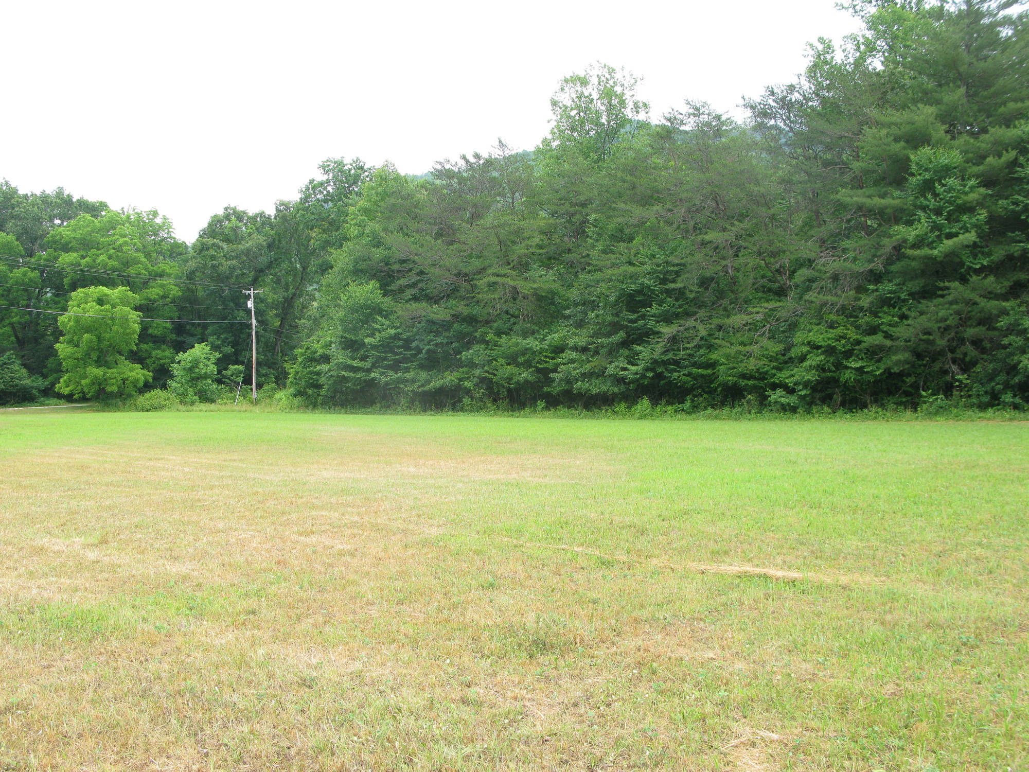 GRSM Accuracy Assessment. Plot Code: GRSM_AA_0896_3